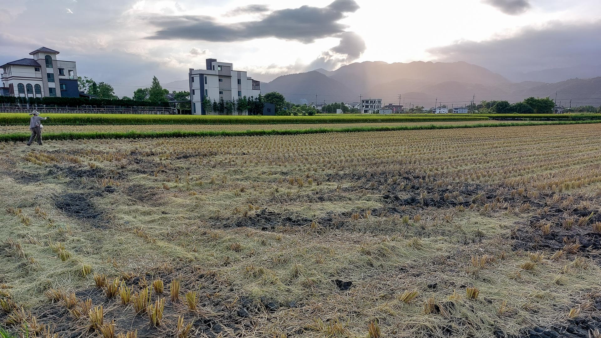 Taiwan’s small farmers face land speculators and legal hurdles 